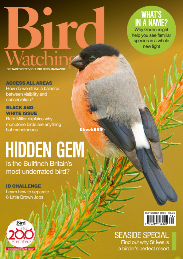 Bird_Watching_UK_-_September_2024 - 1.png