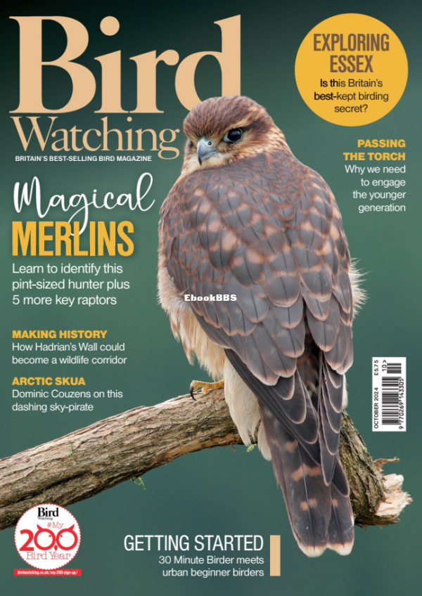 Bird_Watching_UK_-_October_2024 - 1.png