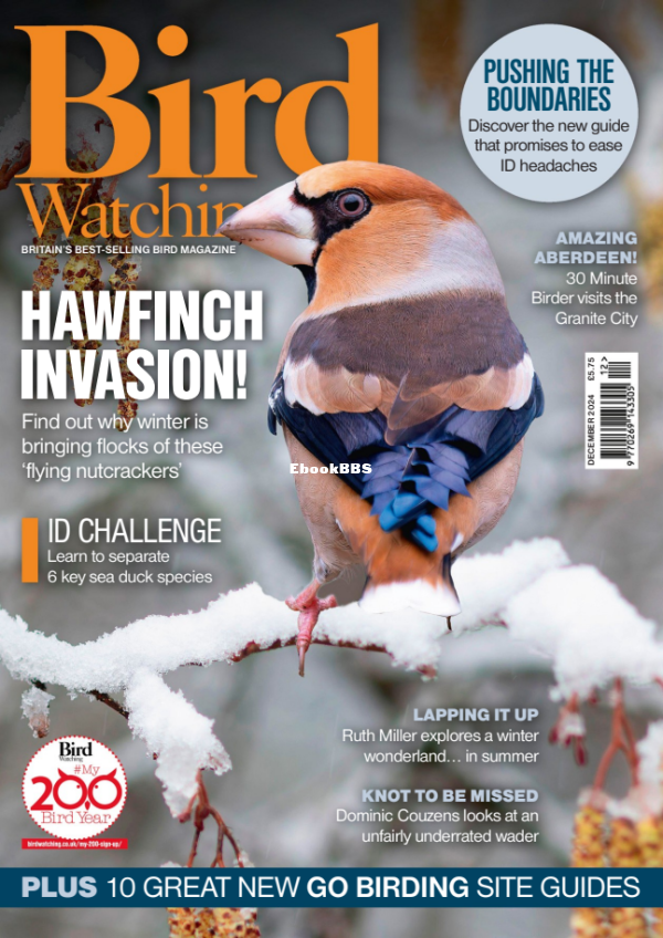 Bird_Watching_UK_-_December_2024 - 1.png