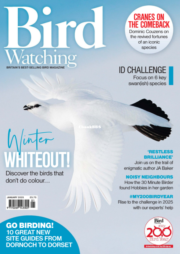 Bird_Watching_UK_-_January_2025 - 1.png