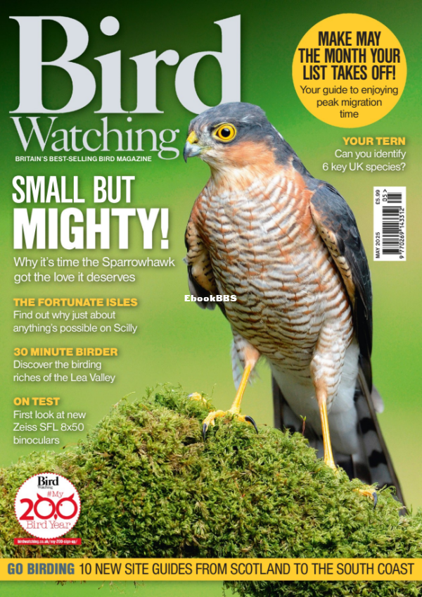 Bird_Watching_UK_-_May_2025 - 1.png