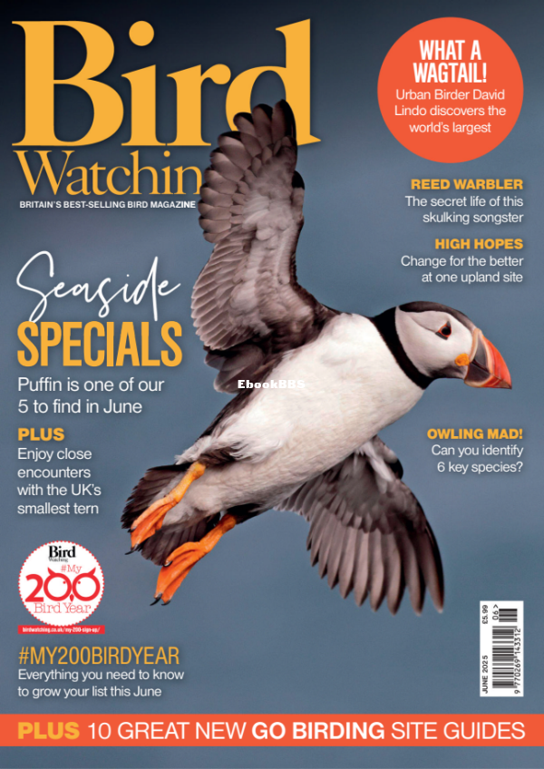 Bird_Watching_UK_-_June_2025 - 1.png