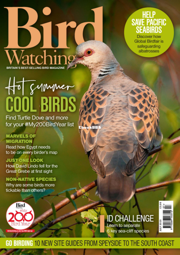 Bird_Watching_UK_-_July_2025 - 1.png