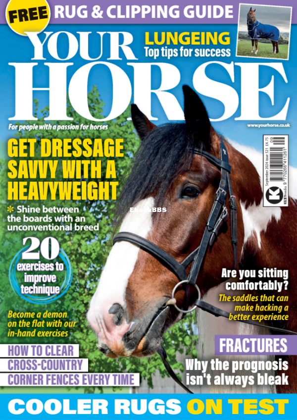 Your_Horse_-_September_2024 - 1.png