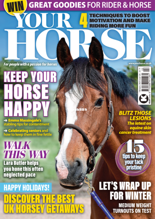 Your_Horse_-_February_2025 - 1.png
