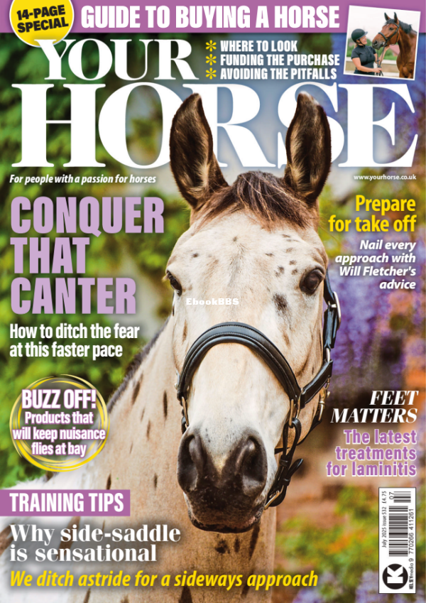 Your_Horse_-_July_2025 - 1.png