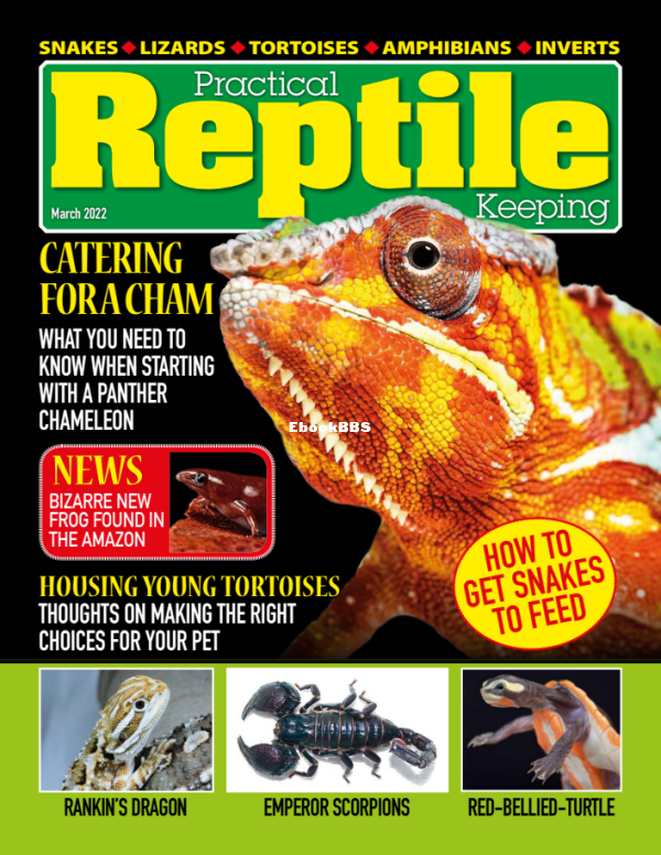 Practical_Reptile_Keeping_-_March_2022 - 1.png