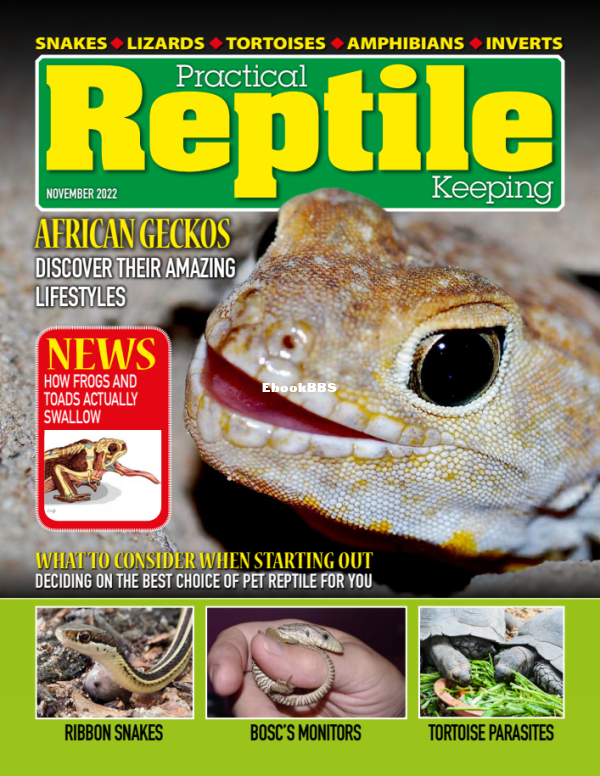 Practical_Reptile_Keeping_-_November_2022 - 1.png