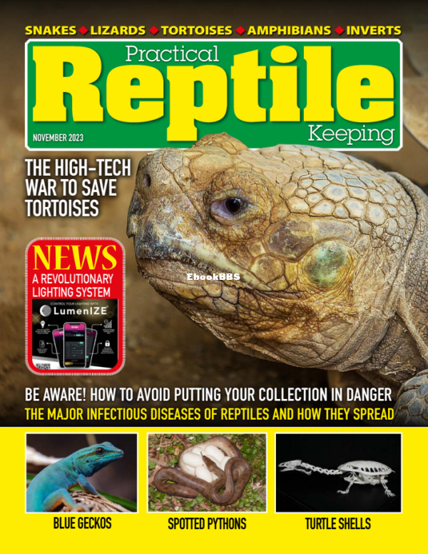 Practical_Reptile_Keeping_-_November_2023 - 1.png
