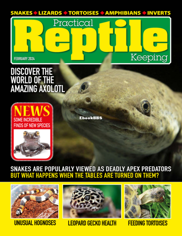Practical Reptile Keeping 02.2024 - 1.png