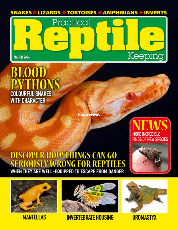 Practical_Reptile_Keeping_-_March_2024 - 1.png