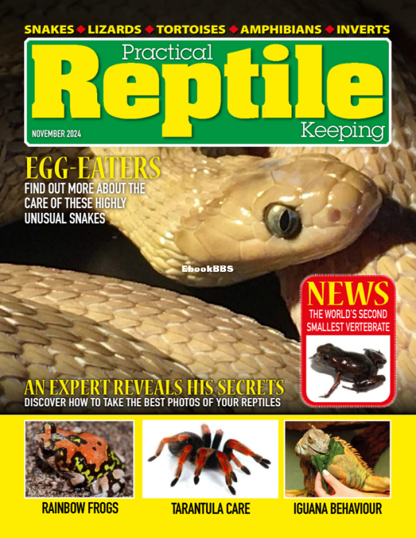 Practical_Reptile_Keeping_-_November_2024 - 1.png