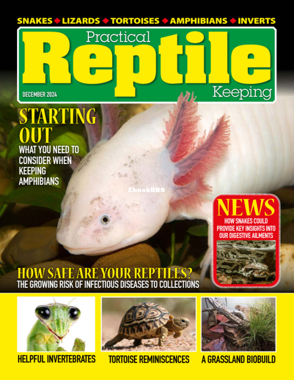 Practical_Reptile_Keeping_-_December_2024 - 1.png