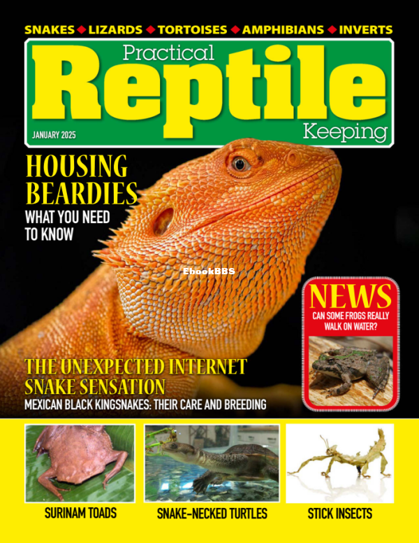 Practical_Reptile_Keeping_-_January_2025 - 1.png