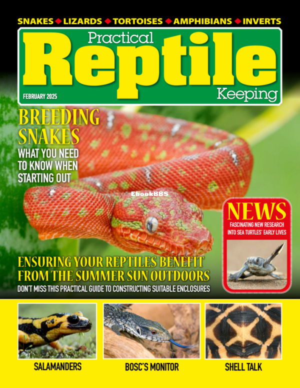 Practical_Reptile_Keeping_-_February_2025 - 1.png