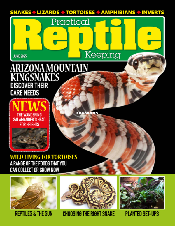 Practical_Reptile_Keeping_-_June_2025 - 1.png