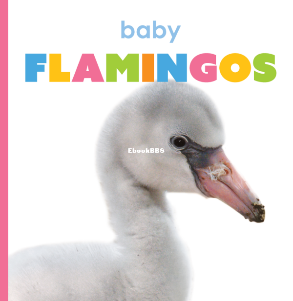 Baby Flamingos - 1.png