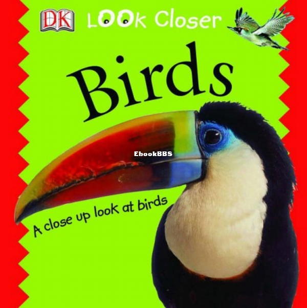 Birds Look Closer - 1.png