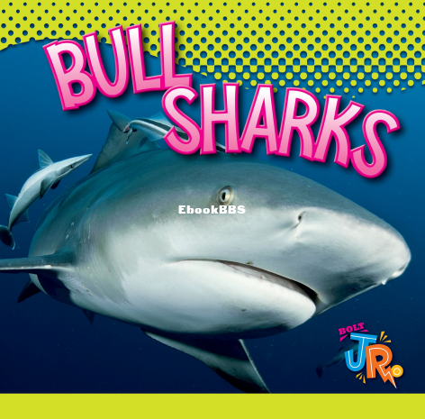 Bull Sharks (World of Sharks) - 1.png