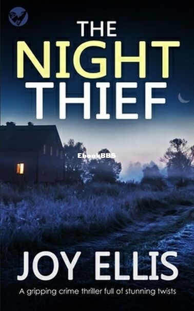 The Night Thief.jpg