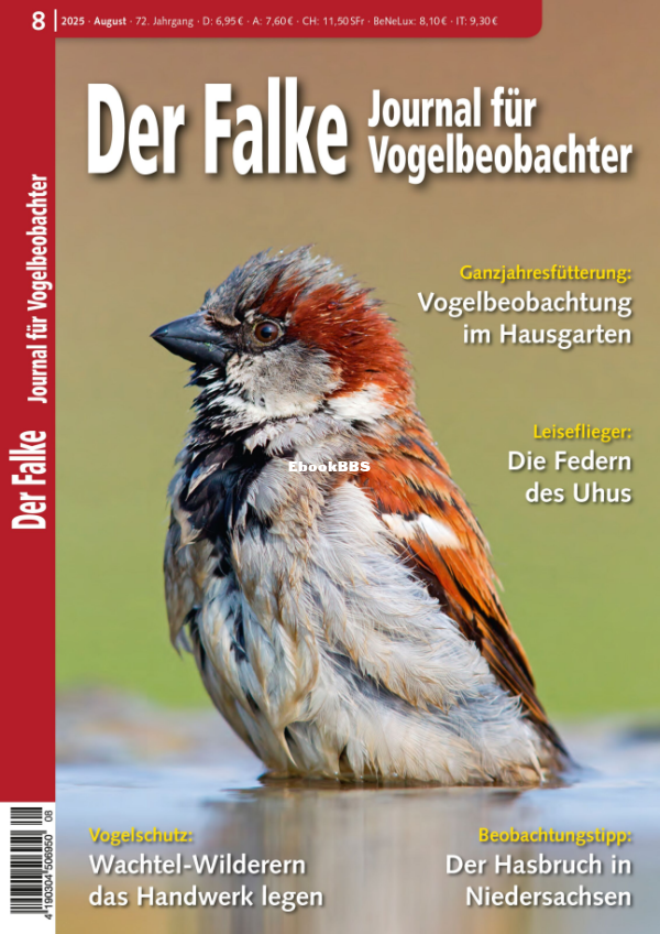 Der_Falke_8.25 - 1.png