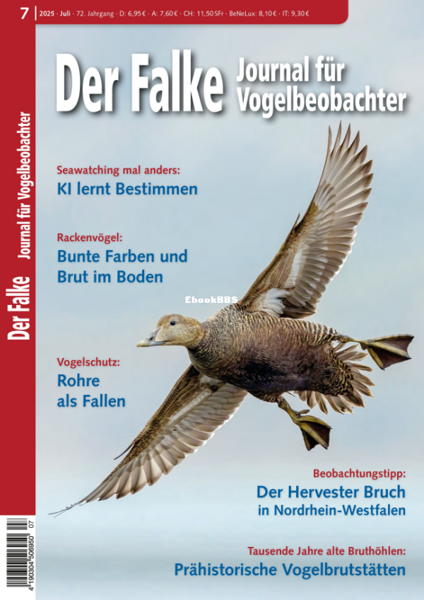 Der_Falke_7.25 - 1.png
