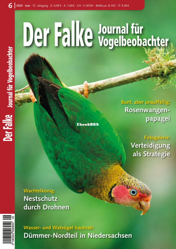 Der_Falke_6.25 - 1.png