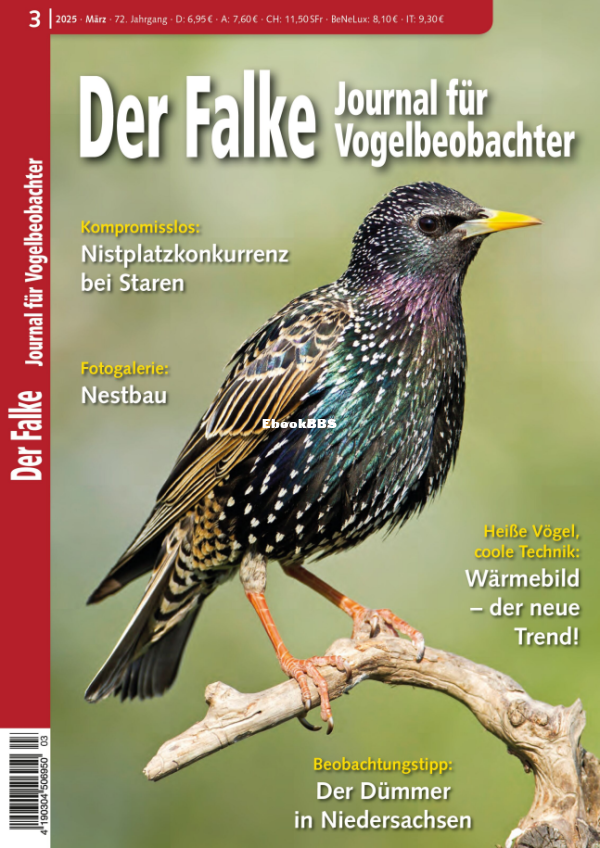 Der Falke Journal für Vogelbeobachter - März 2025 - 1.png