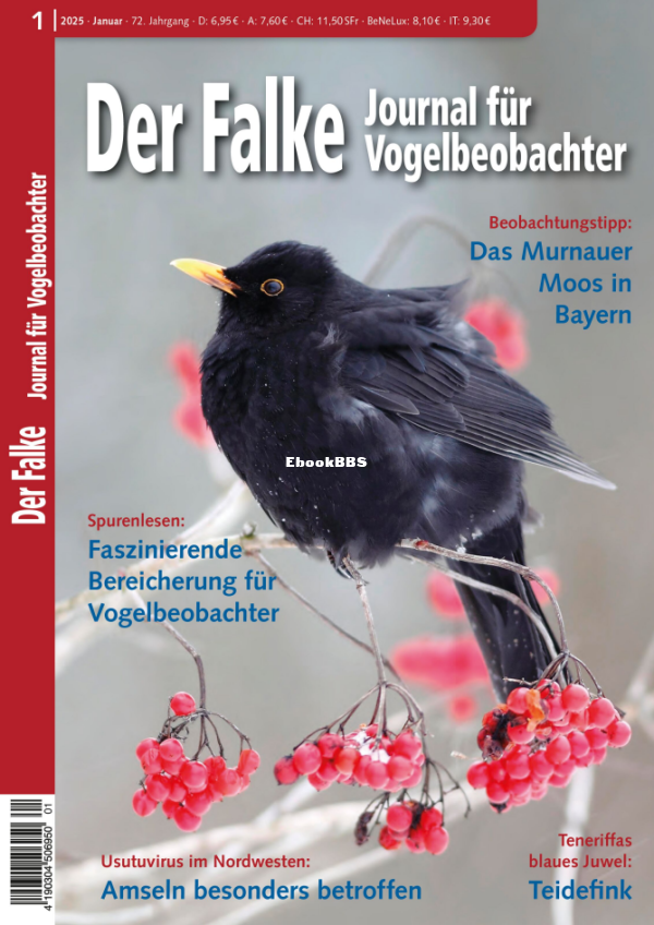 Der Falke Journal für Vogelbeobachter - Januar 2025 - 1.png
