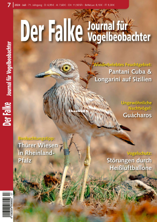 Der_Falke_7.24 - 1.png