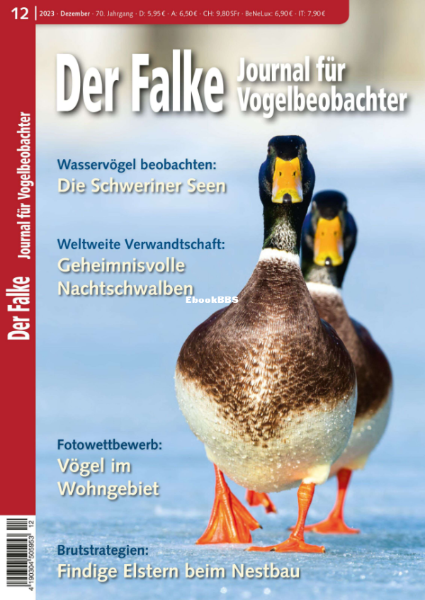 Der_Falke_12.23 - 1.png