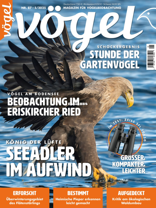 Vögel_5.25 - 1.png