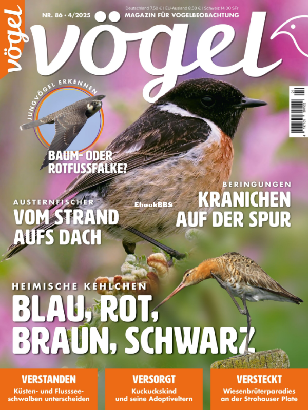 Vögel_4.25 - 1.png