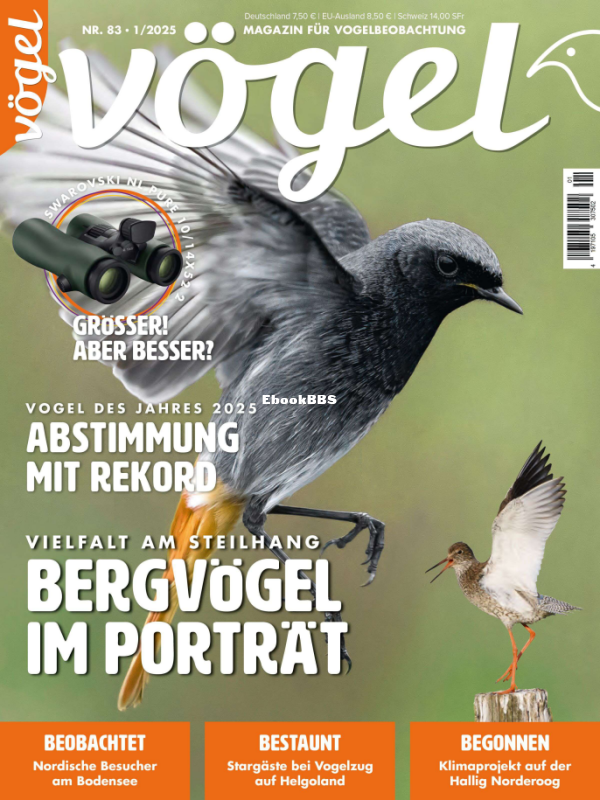 Vögel_1.25 - 1.png
