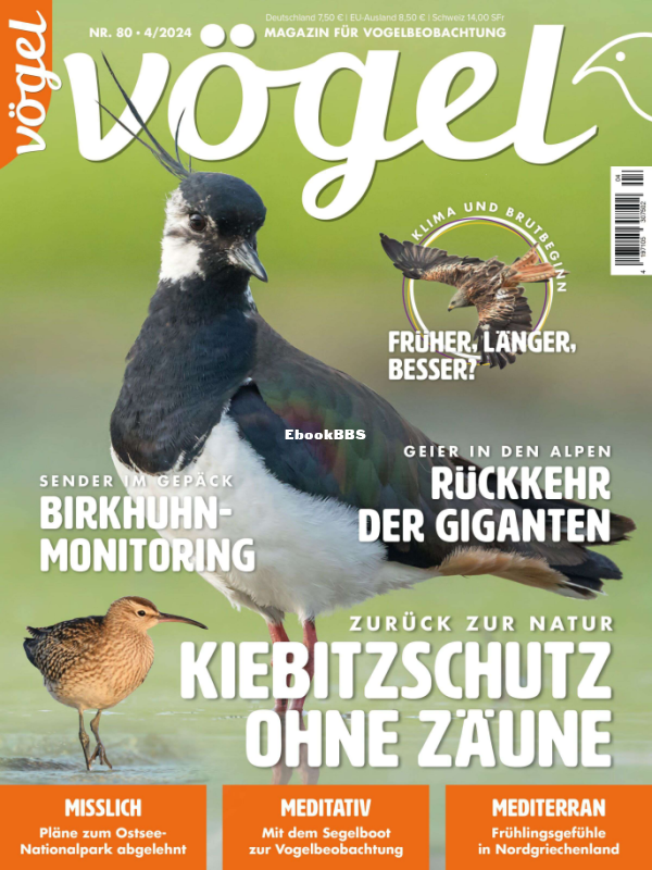 Vögel_4.24 - 1.png