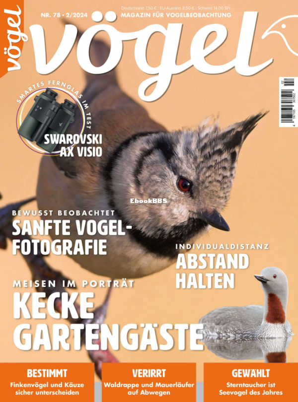 Vögel_2.24 - 1.png