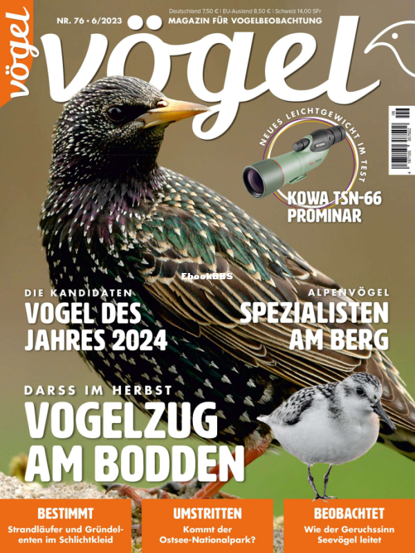 VOGEL_6.23 - 1.png