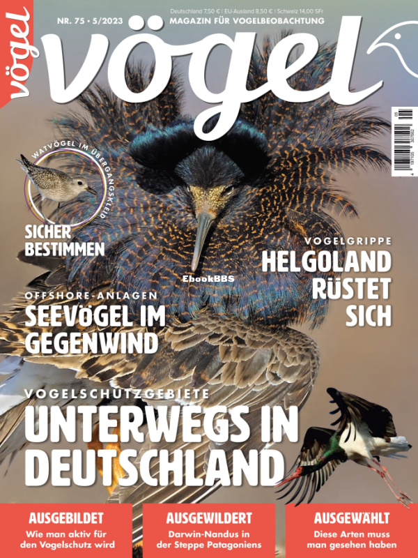 VOGEL_5.23 - 1.png