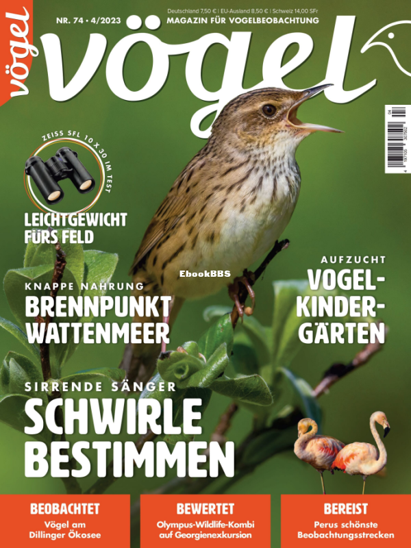 VOGEL_4.23 - 1.png