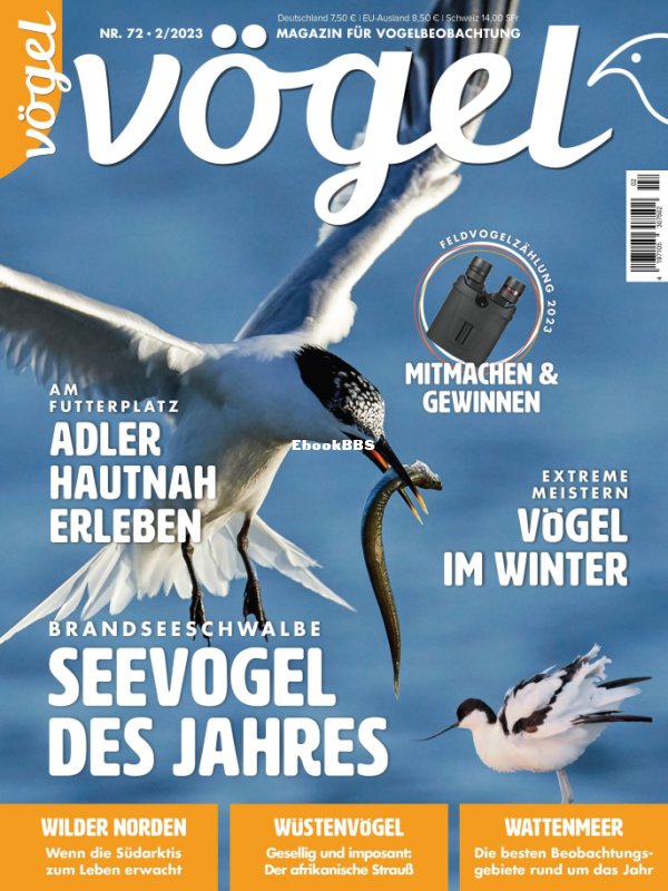 VOGEL_2.23 - 1.png