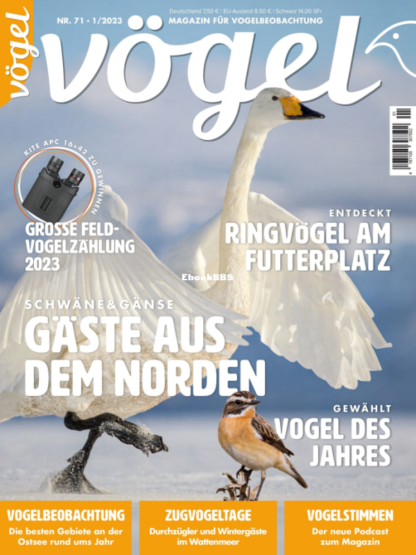 VOGEL_1.23 - 1.png