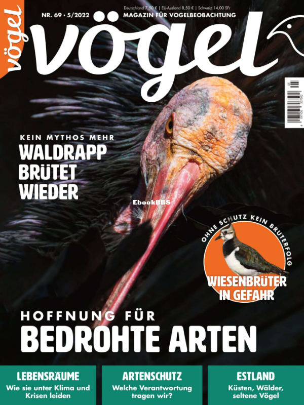 VOGEL_5.22 - 1.png