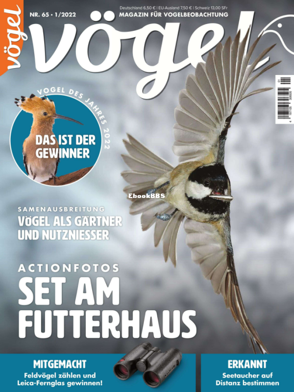 VOGEL_1.22 - 1.png