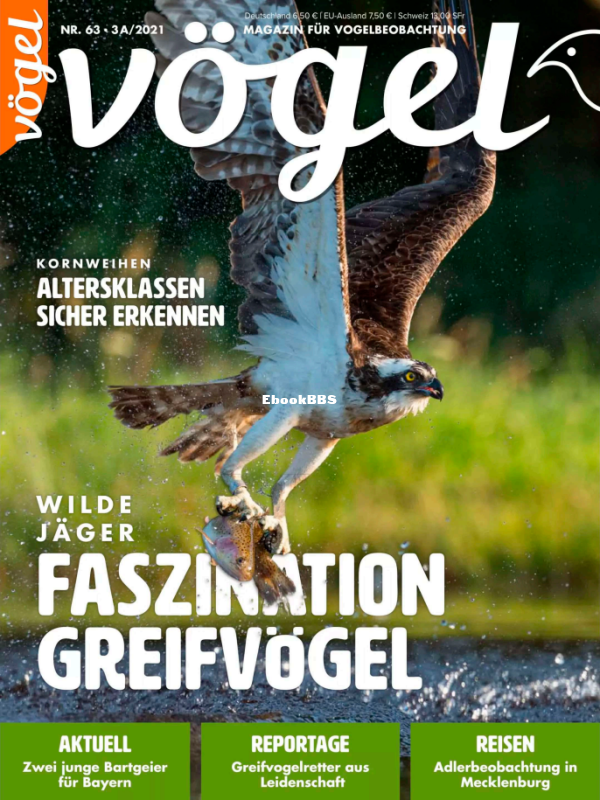 Vögel_3a.21 - 1.png