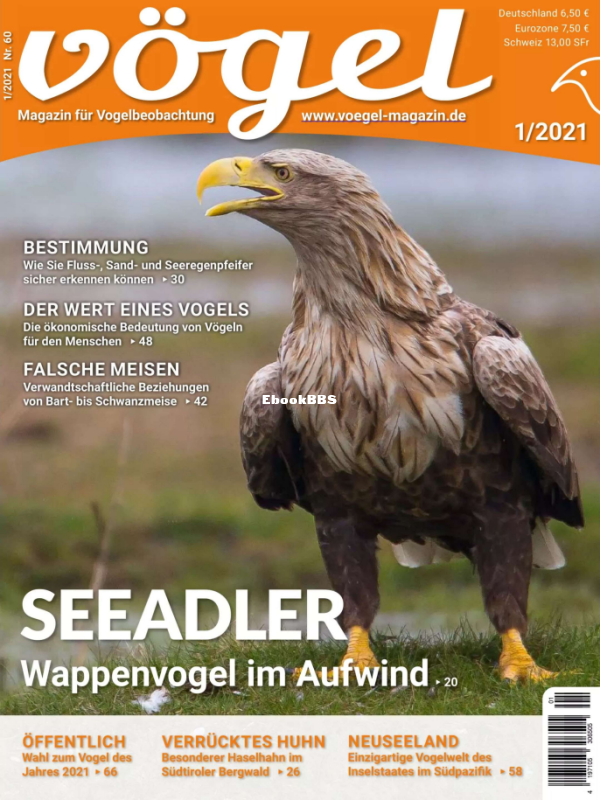 Vögel_1.21 - 1.png