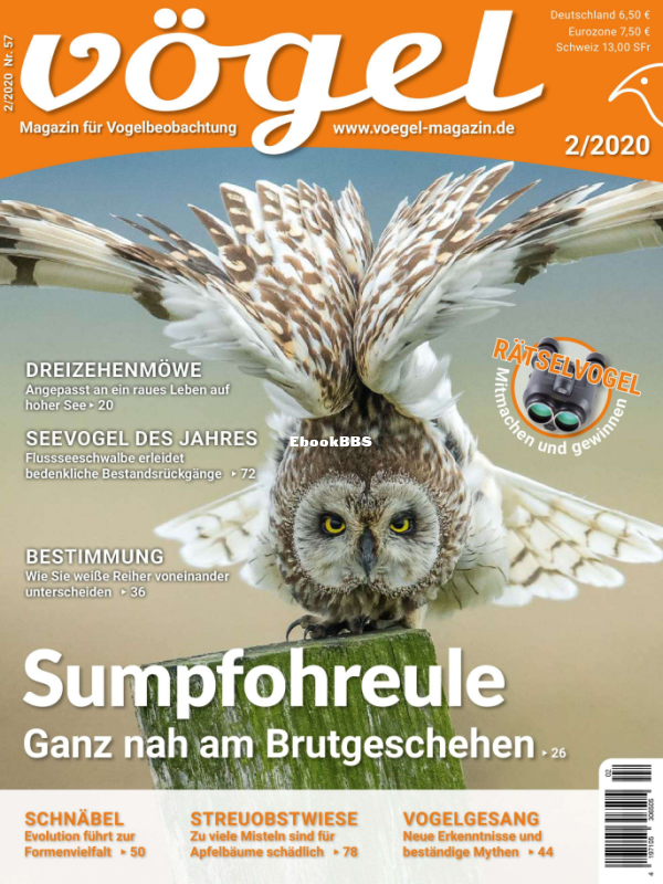 Vögel_2.20 - 1.png