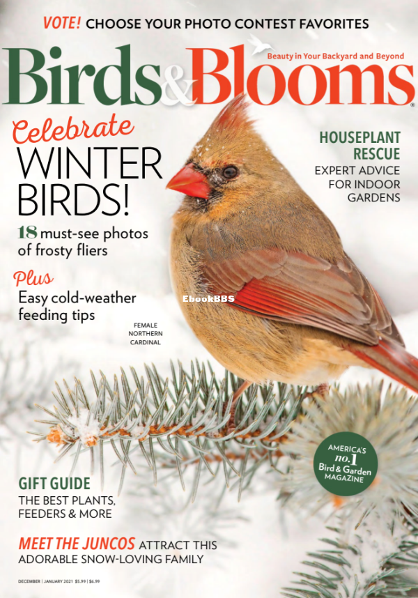 Birds_amp_Blooms_-_December-January_2020 - 2.png