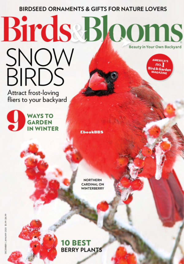 Birds_amp_Blooms_-_December-January_2019 - 2.png