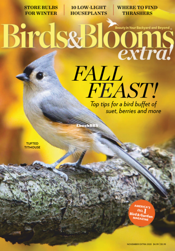 Birds_and_Blooms_Extra_-_November_2020 - 2.png