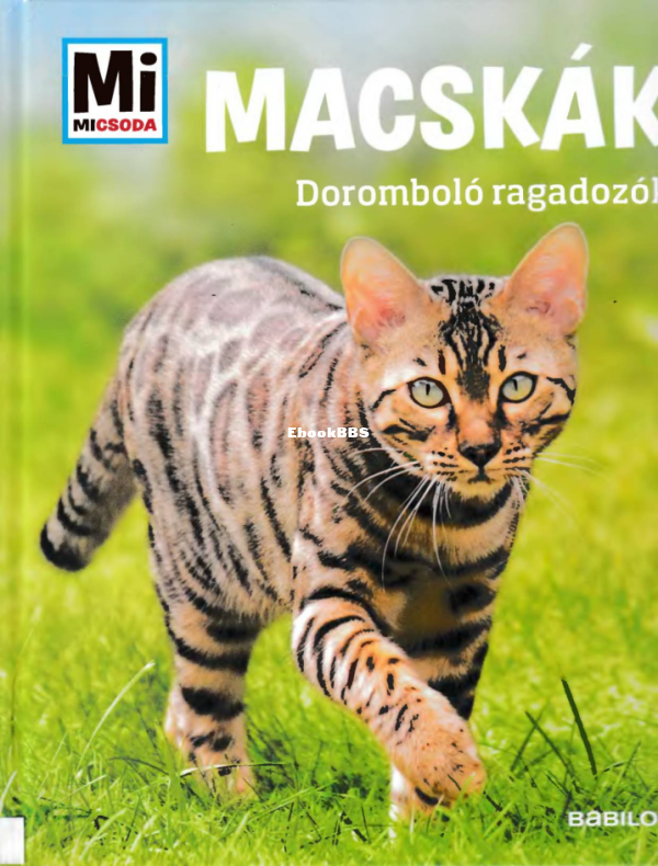 Mi micsoda Aurahs Jutta Macskák - 1.png